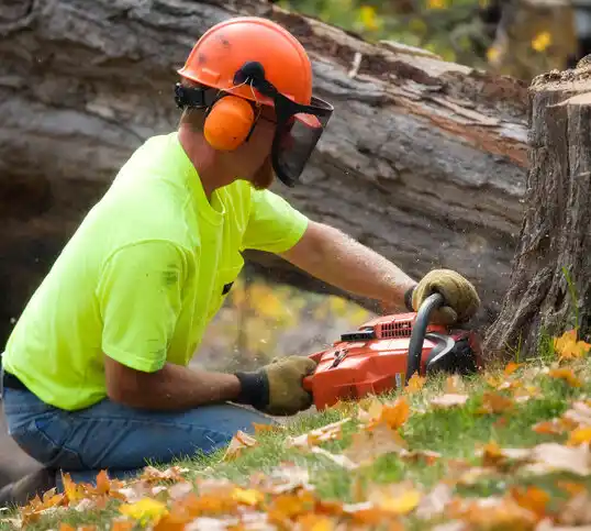 tree services North Carrollton